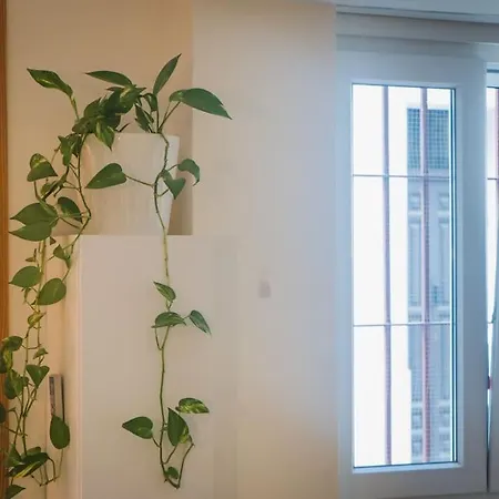 Estudio A Estrenar En Sta Clara *