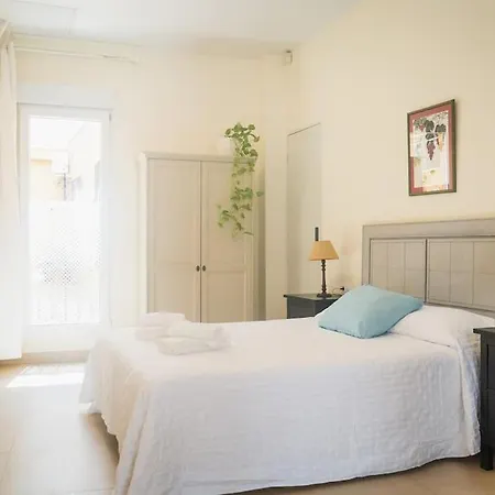 Estudio A Estrenar En Sta Clara * Seville